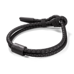 The AeroLite - Rowdy Parrot