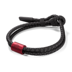 The AeroLite - Rowdy Parrot