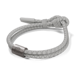 The AeroLite - Rowdy Parrot