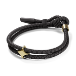 The Stellar - Rowdy Parrot