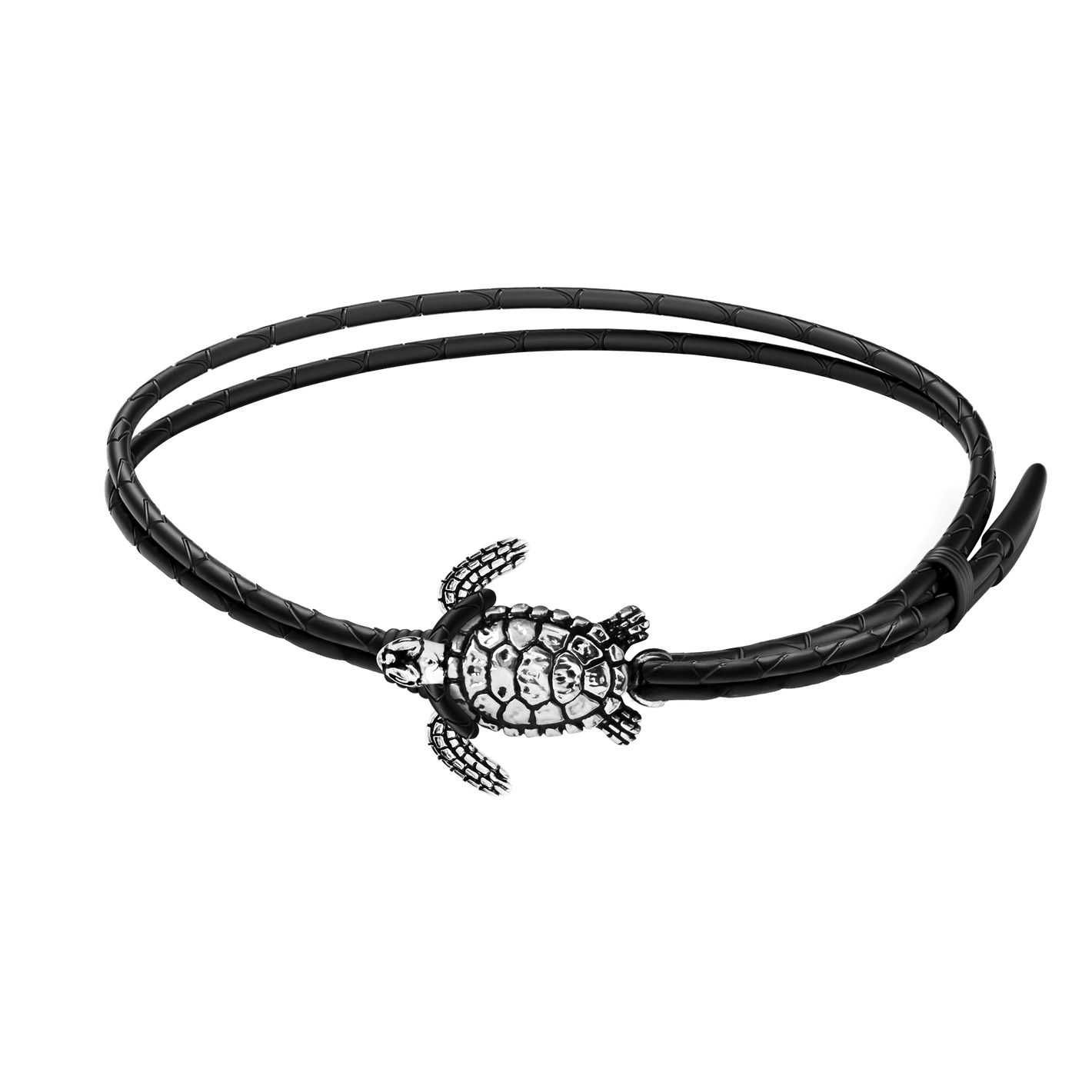 The Tortuga